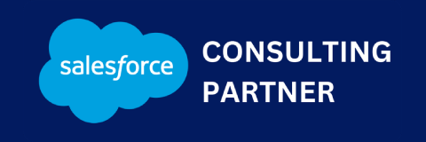 Salesforce Consulting Partner
